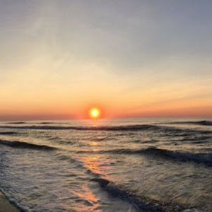 Meet your Posher, Suzanne